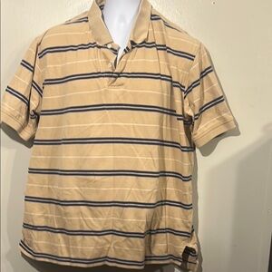 Tan and Blue Striped Polo Shirt with Classic Collar